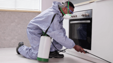 The Importance of Regular Pest Inspections