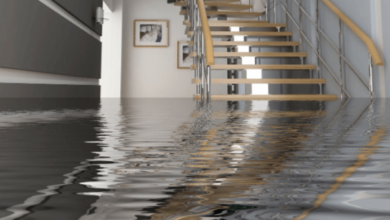 The Benefits of Professional Water Damage Restoration