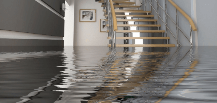 The Benefits of Professional Water Damage Restoration