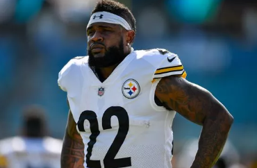 Stevan Ridley Net Worth: NFL Career and Beyond