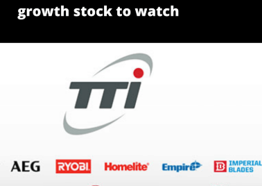 TTI Net Worth: Electronics Giant's Financial Success