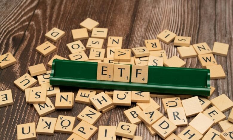 small cap hybrid fund