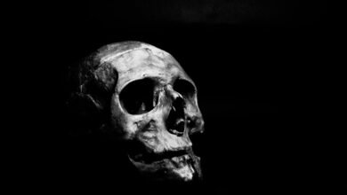 mysterious haunting phone number