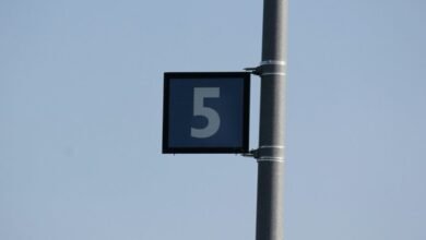 next steps for information