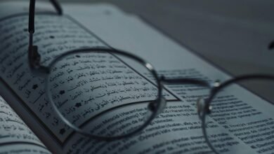 understanding specific details revealed