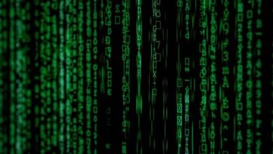 unexplained code or identifier