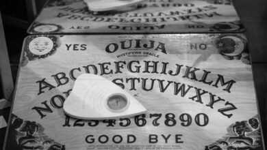 unraveling number s hidden significance