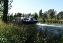 operational flow analysis insights