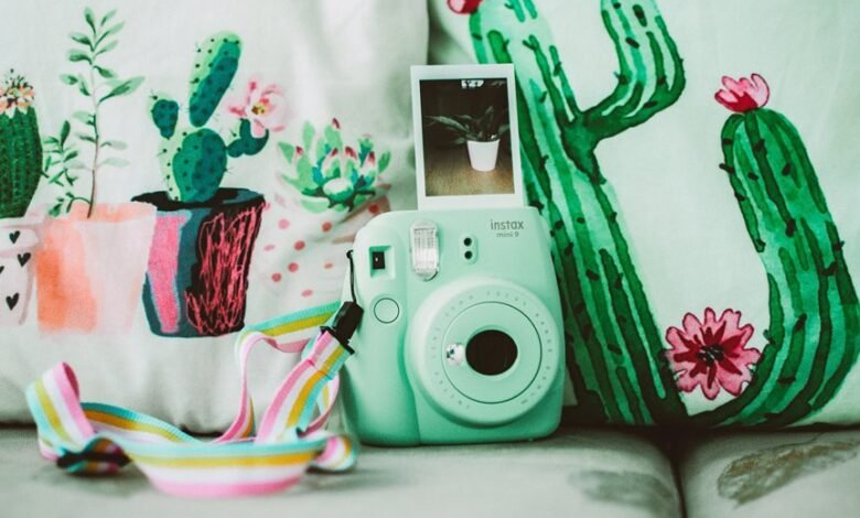 progress report for projects