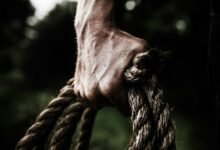 business insights and analytics