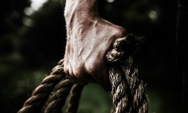 business insights and analytics