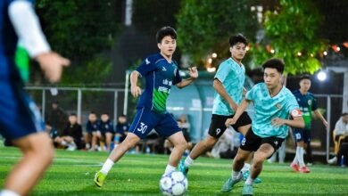 market strategy performance metrics