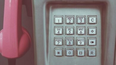 phone number contact background details