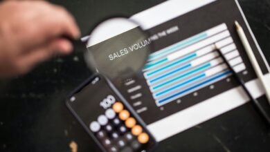 phone number details and insights