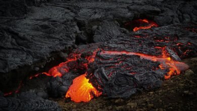 radiant flow market edge