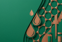 Best Peptides for Hair Growth: Copper Peptide Sources